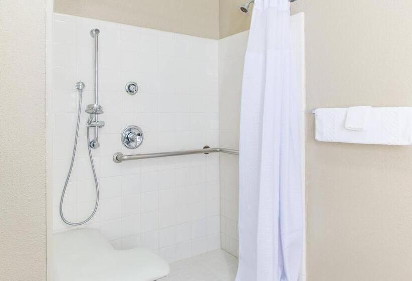 Люкс Адаптированный для Инвалидов, Springhill Suites By Marriott Houston Brookhollow