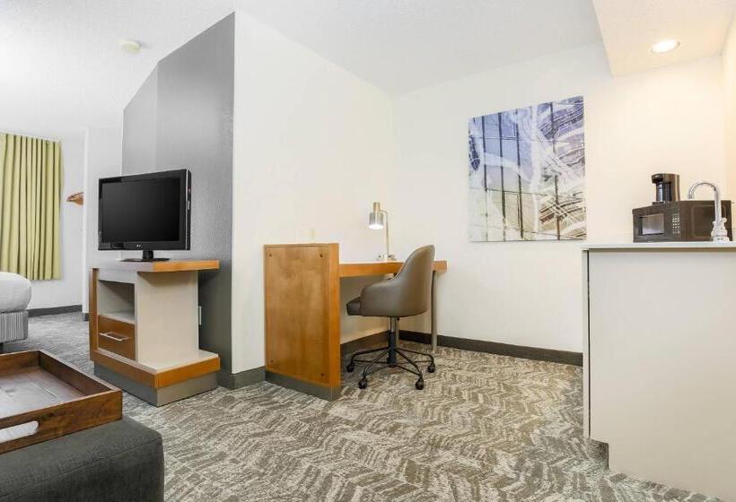 Люкс Адаптированный для Инвалидов, Springhill Suites By Marriott Houston Brookhollow
