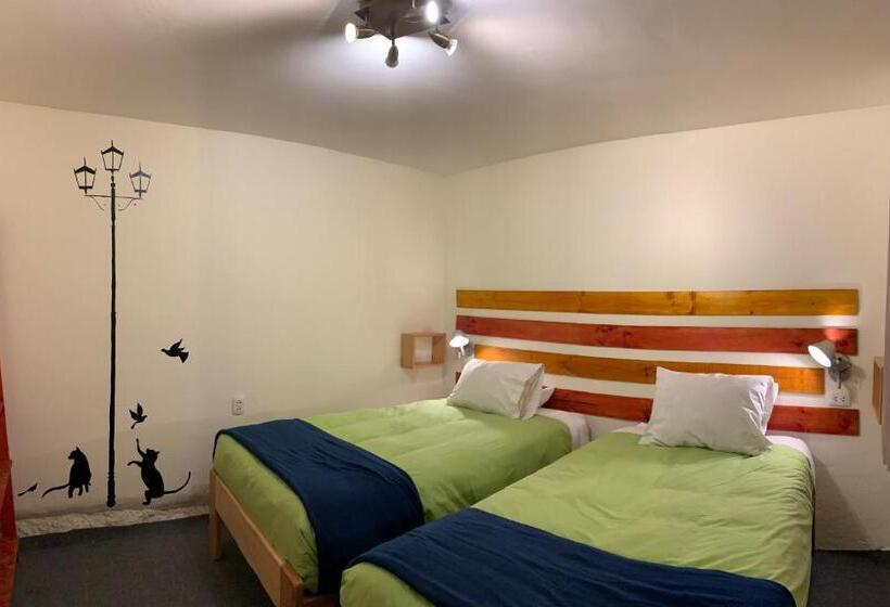 غرفة إقتصادية, Gaia House Hostel