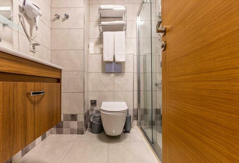 Camera Standard, Business Hotel Antalya