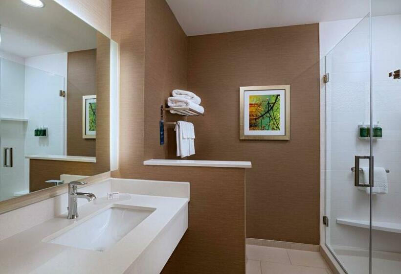 Люкс Кровать Кинг, Fairfield Inn & Suites Houston Richmond