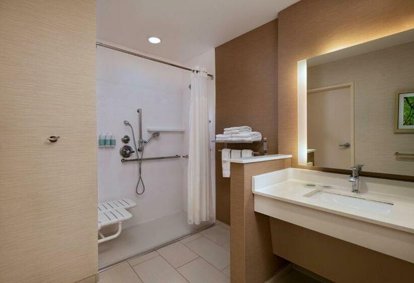 스위트 킹사이즈 침대, Fairfield Inn & Suites Houston Richmond