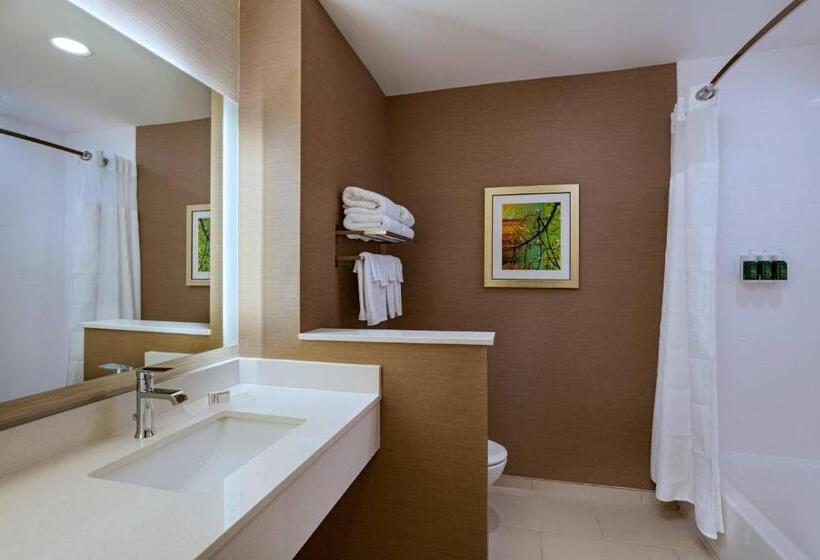 Номер Стандарт, Fairfield Inn & Suites Houston Richmond
