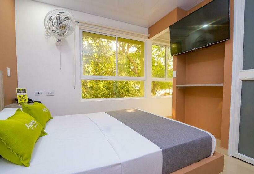 اتاق استاندارد, Ayenda 1420 Eco Suite
