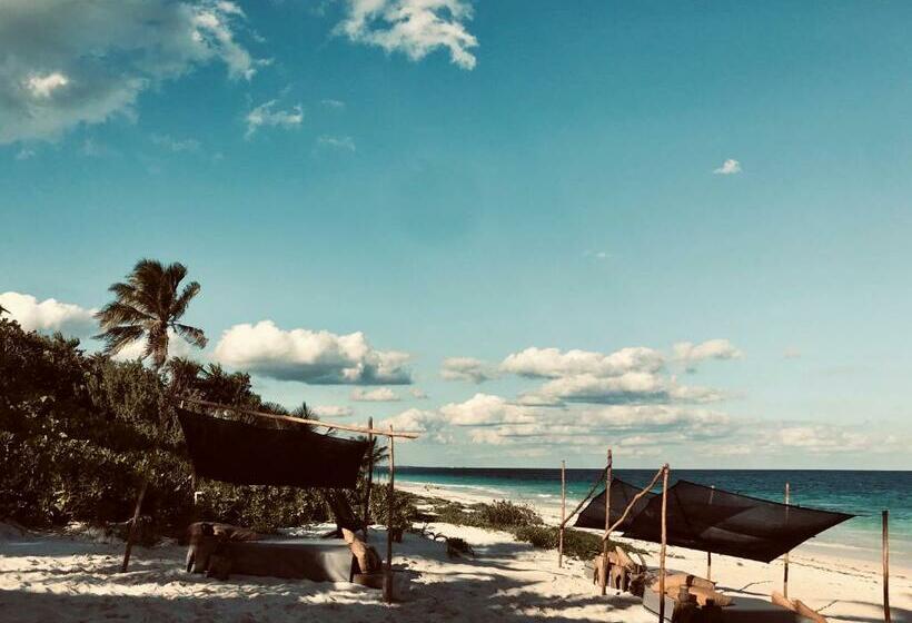 Pokój Deluxe Widok Morze z Balkonem, Libelula Tulum Beachfront