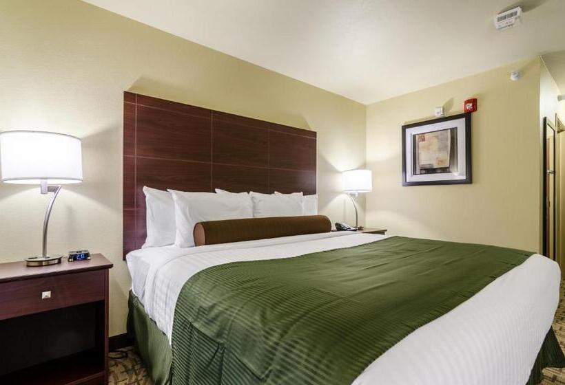 带大床的标准间, Cobblestone Inn & Suites  Ord