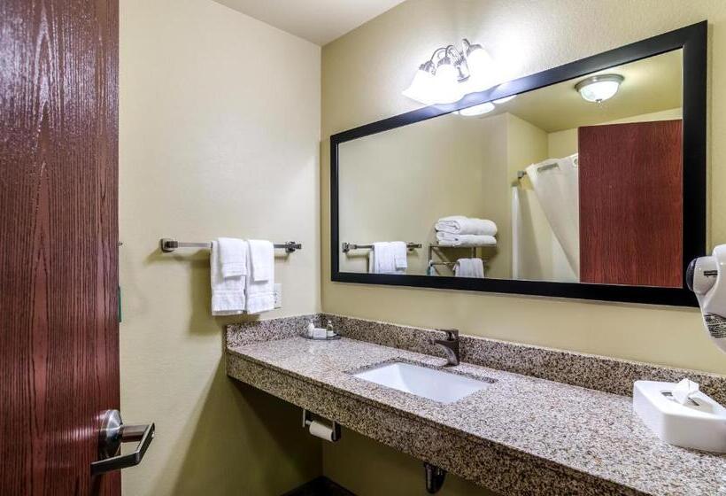 Стандартный Номер Кровать Кинг, Cobblestone Inn & Suites  Ord