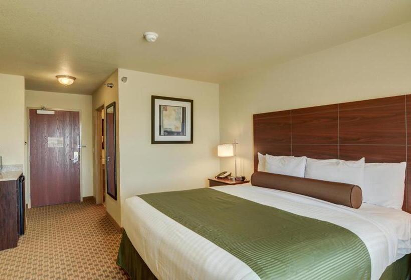 带大床的标准间, Cobblestone Inn & Suites  Ord