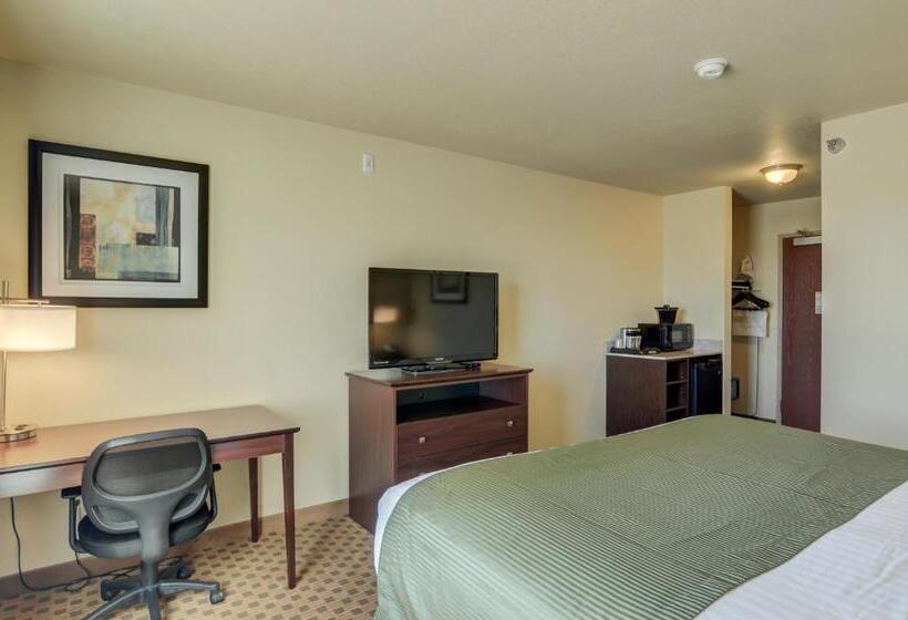 Стандартный Номер Кровать Кинг, Cobblestone Inn & Suites  Ord