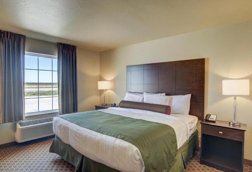 适合残疾人使用的标准间, Cobblestone Inn & Suites  Ord