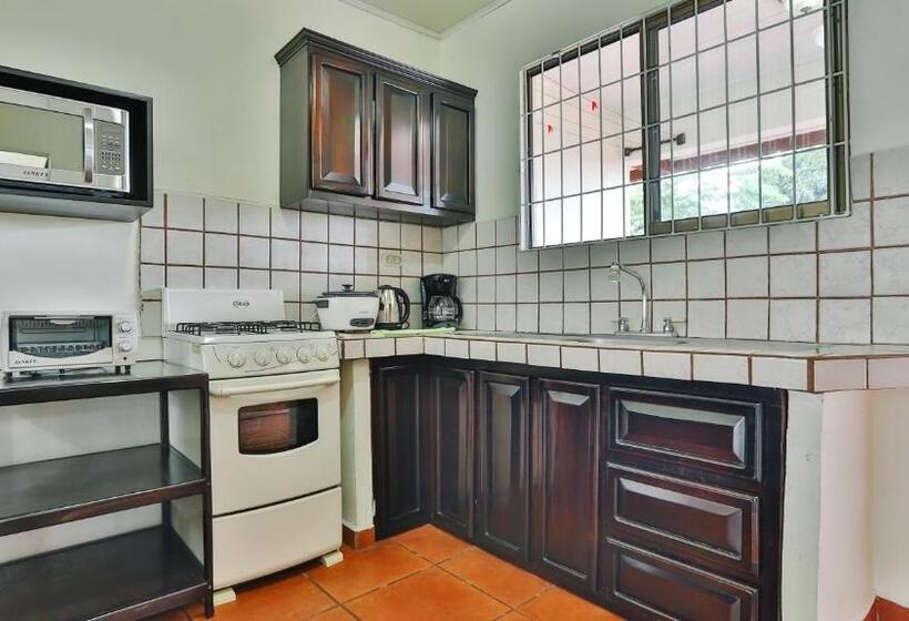 آپارتمان 1 خوابه با چشم‌انداز, Condo S Vista Al Volcan