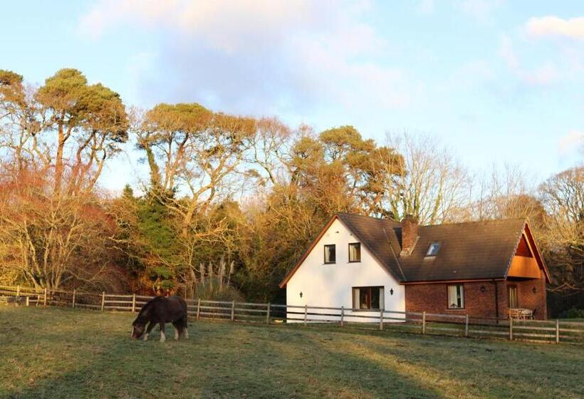 Номер Стандарт, Plas Dolau Country Estate