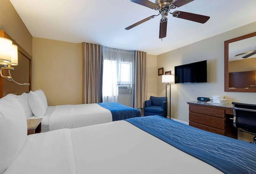 带2个双人床的标准工作室, Comfort Inn Gaslamp Convention Center