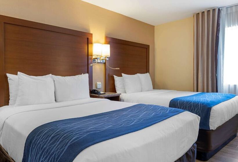 带2个双人床的标准工作室, Comfort Inn Gaslamp Convention Center