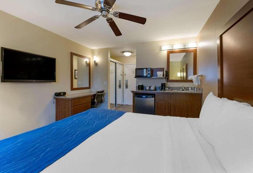 带大床的标准间, Comfort Inn Gaslamp Convention Center