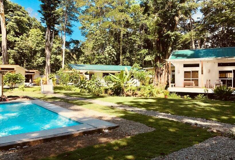 Студия Стандарт, Sonora Jungle & Yoga Retreat