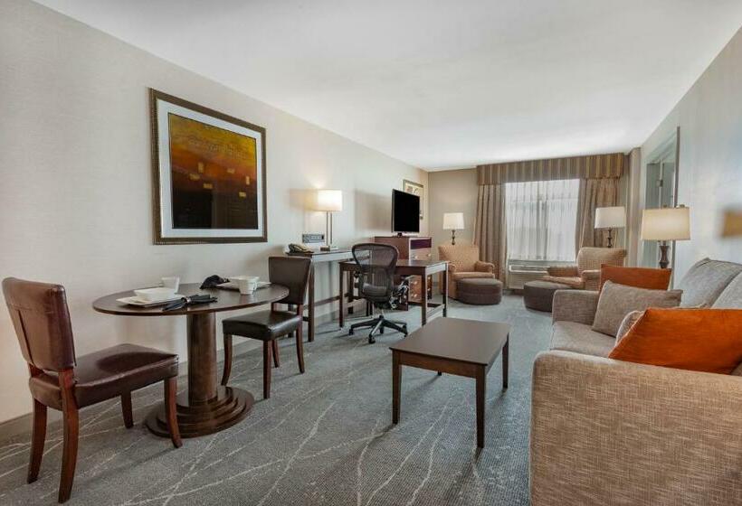 Люкс Кровать Кинг, Wingate By Wyndham Tinley Park