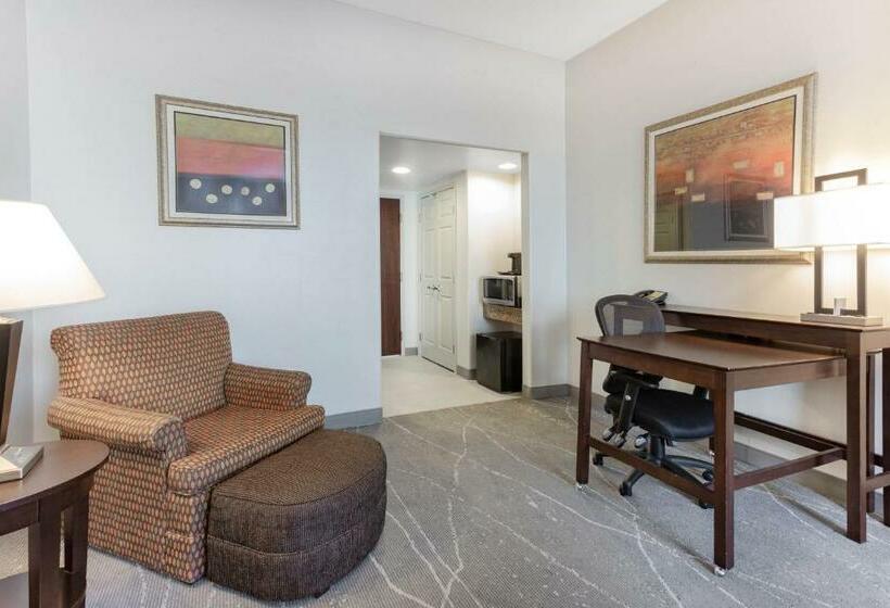 Стандартный Номер Кровать Кинг, Wingate By Wyndham Tinley Park