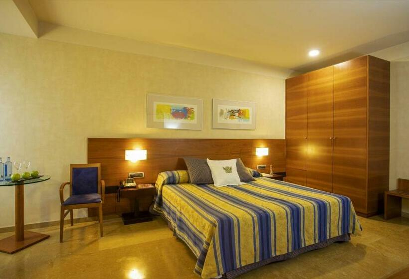 スタンダードルーム, Sercotel Palacio De Tudemir