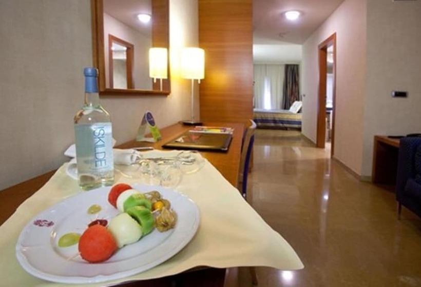 スーペリアールーム, Sercotel Palacio De Tudemir