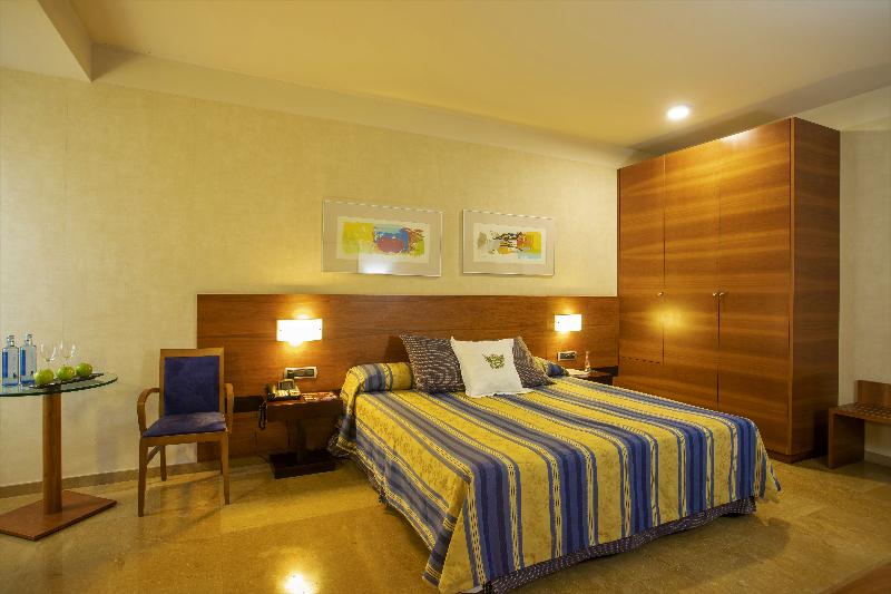 スーペリアールーム, Sercotel Palacio De Tudemir