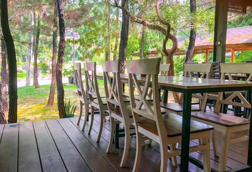 Номер Deluxe, New Green Sentul Resort