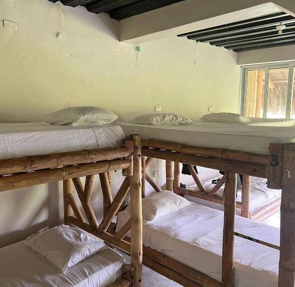 공동 객실, The Journey Hostel