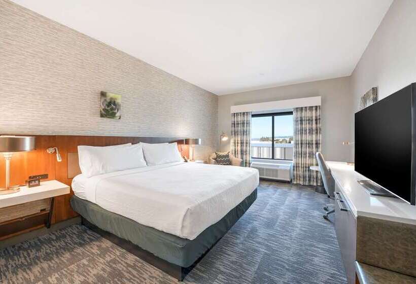 带大床的标准间, Doubletree By Hilton Jaipur Amer