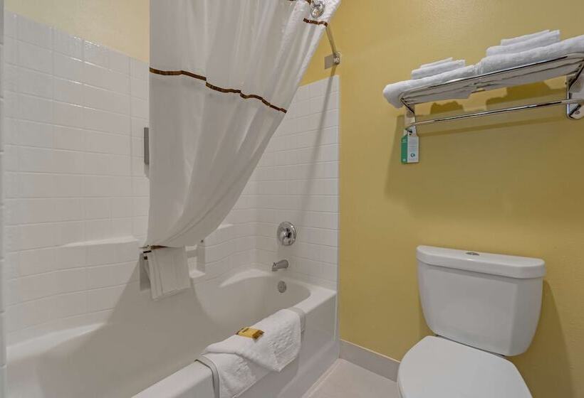 חדר דלוקס, Best Western Plus Park Place Inn & Suites