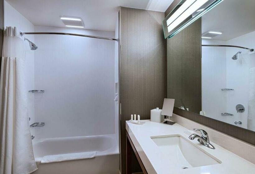 Стандартный Номер Кровать Кинг, Courtyard Dallas Grand Prairie