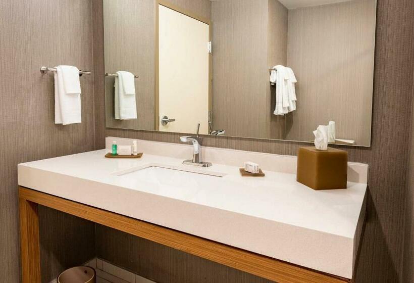 Стандартный Номер Кровать Кинг, Courtyard Winston Salem Downtown