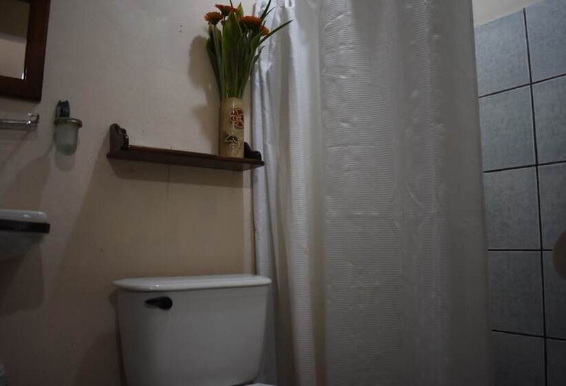 패밀리 룸, Cabinas Bachelor