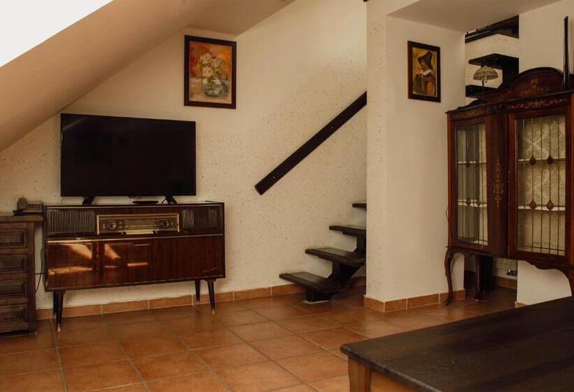استودیوی استاندارد, črni Baron Pension Black Baron