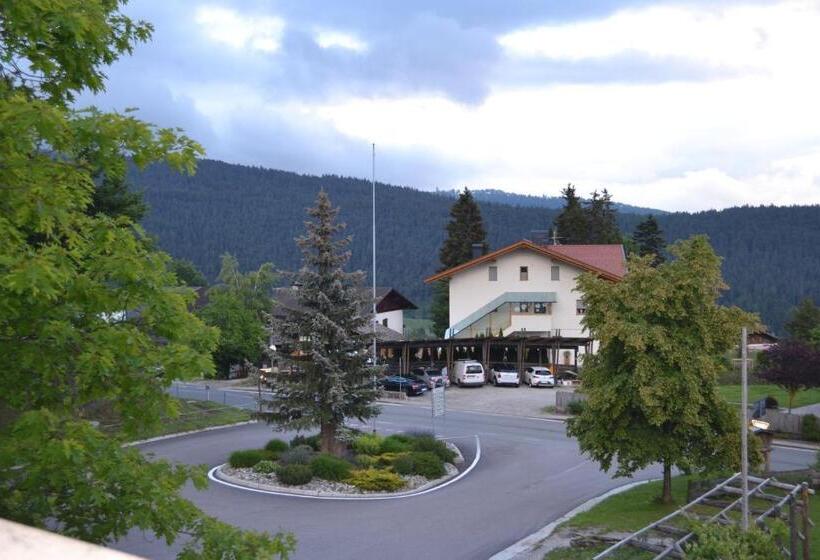 Номер Стандарт, Gasthof Zum Grünen Baum