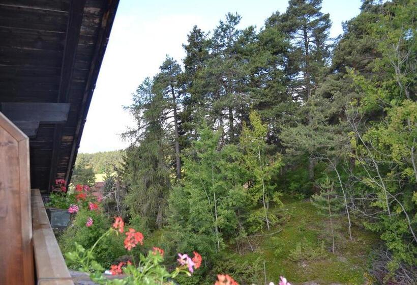 Стандартный Номер Кровать Кинг, Gasthof Zum Grünen Baum