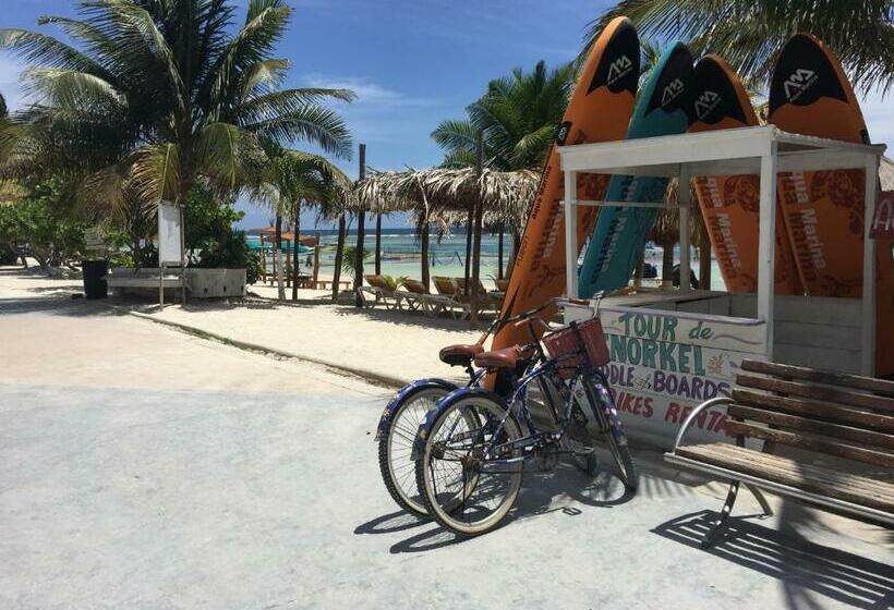 Chambre Standard, Blue Reef Frente Al Mar