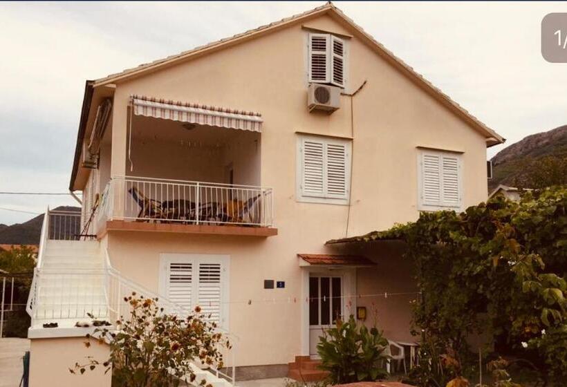 آپارتمان 1 خوابه, Anita Guest House