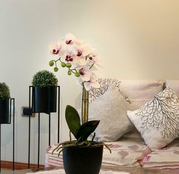 Апартаменты 1 Спальня, Cusco Magico 2   Aparthotel Condominio Las Torres Kayser Ii