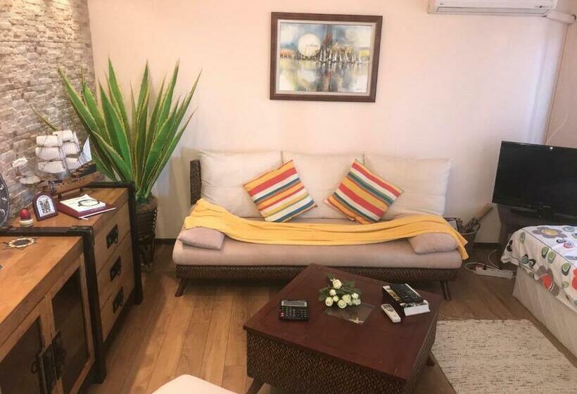 آپارتمان 1 خوابه, Sunny House Family Complex