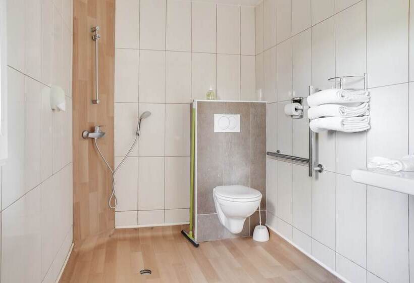 Номер Стандарт Адаптированный для Инвалидов, Hôtel Valence Sud