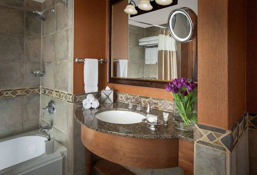 اتاق پرمیوم, Snake River Lodge & Spa