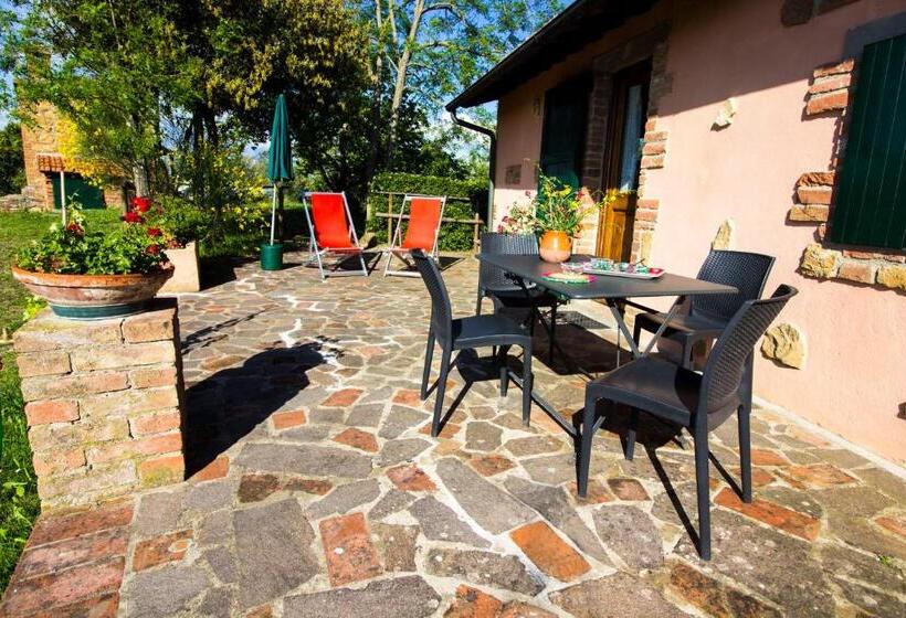Бунгало Стандарт, Borgo Il Poggio Agritourismo