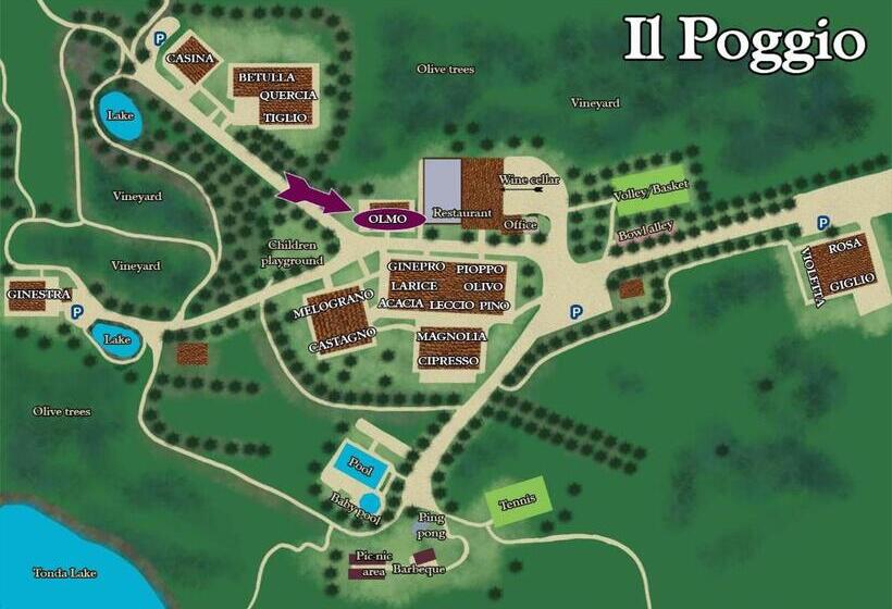 Бунгало Стандарт, Borgo Il Poggio Agritourismo