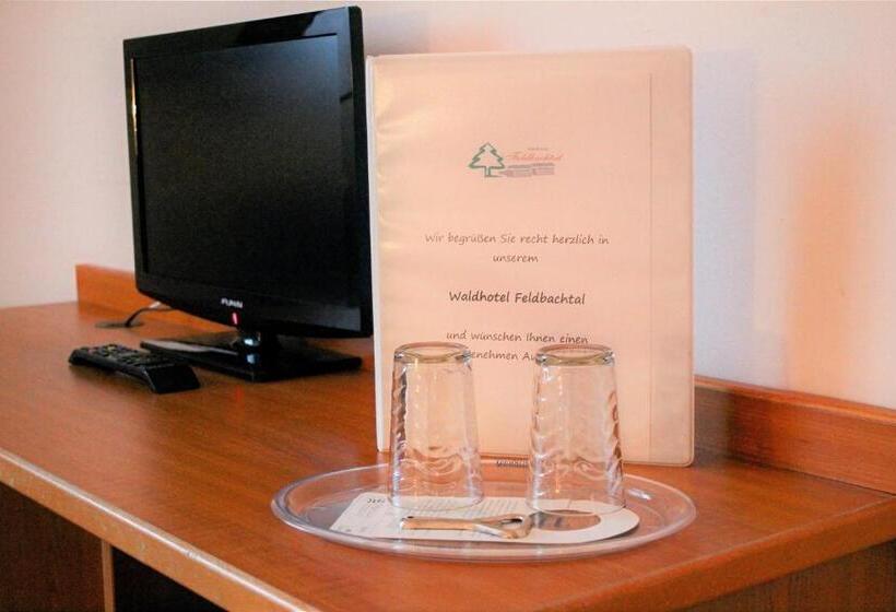 标准间, Waldhotel Feldbachtal