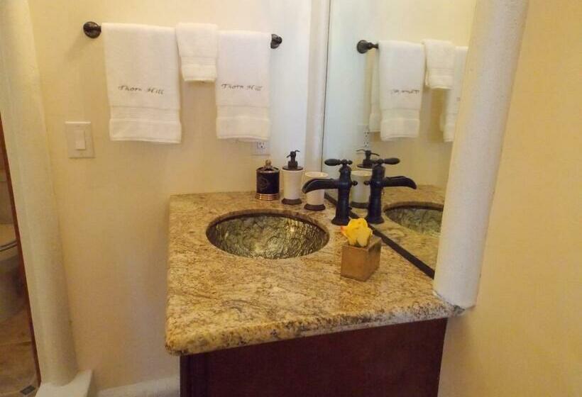 Люкс Повышенной Комфортности, Thorn Hill Vineyards Villa Suites