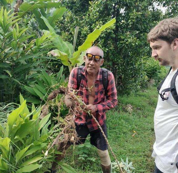 Номер Стандарт Вид на Сад, D Kailash Retreat