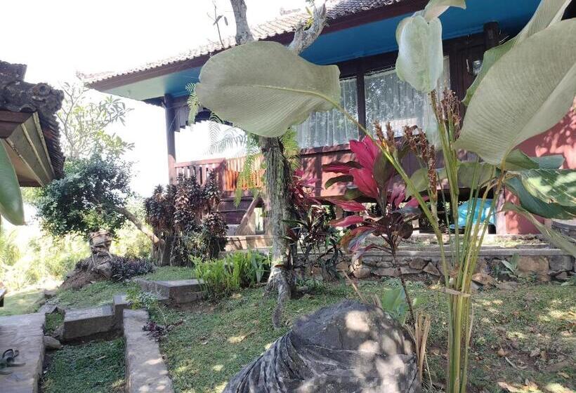 Номер Стандарт, D Kailash Retreat