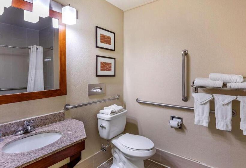 Pokój Typu Standard Przystosowany dla Osób Niepełnosprawnych, Comfort Inn Nashville West