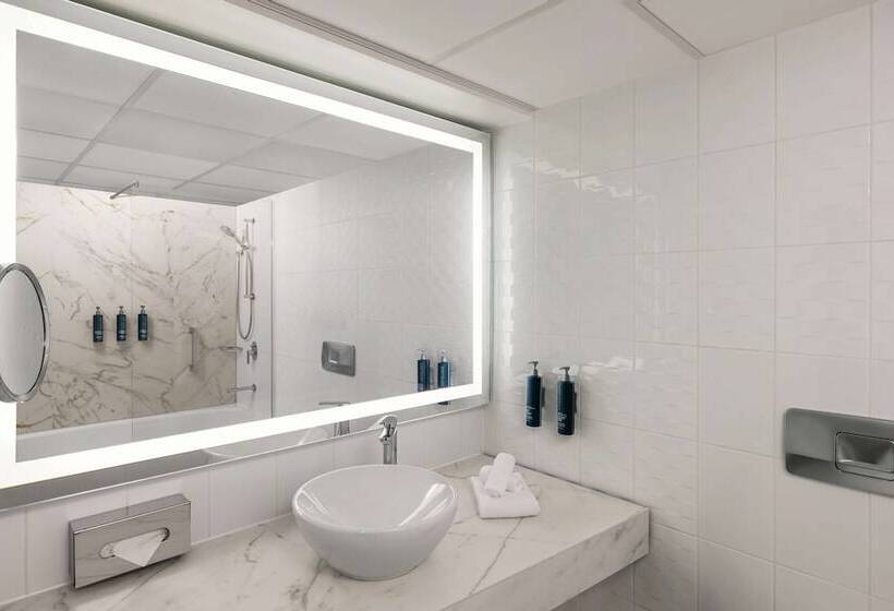 이그제큐티브 룸, Hilton Vienna Waterfront