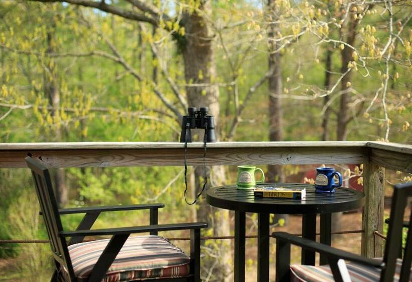 Номер Стандартный Кровать Куин, Tiffany S Bed And Breakfast